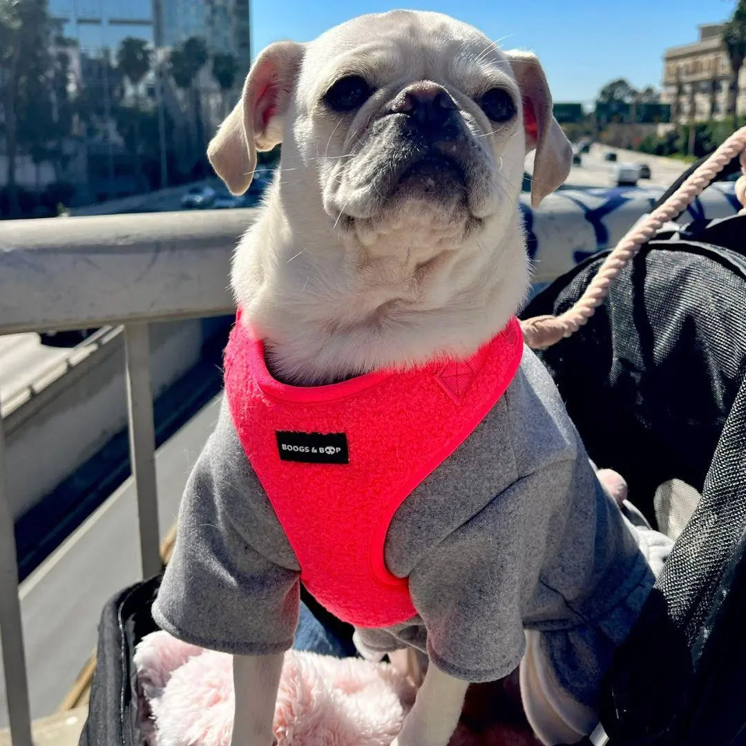 Fluorescent Pink Adjustable Teddy Fabric Dog Harness