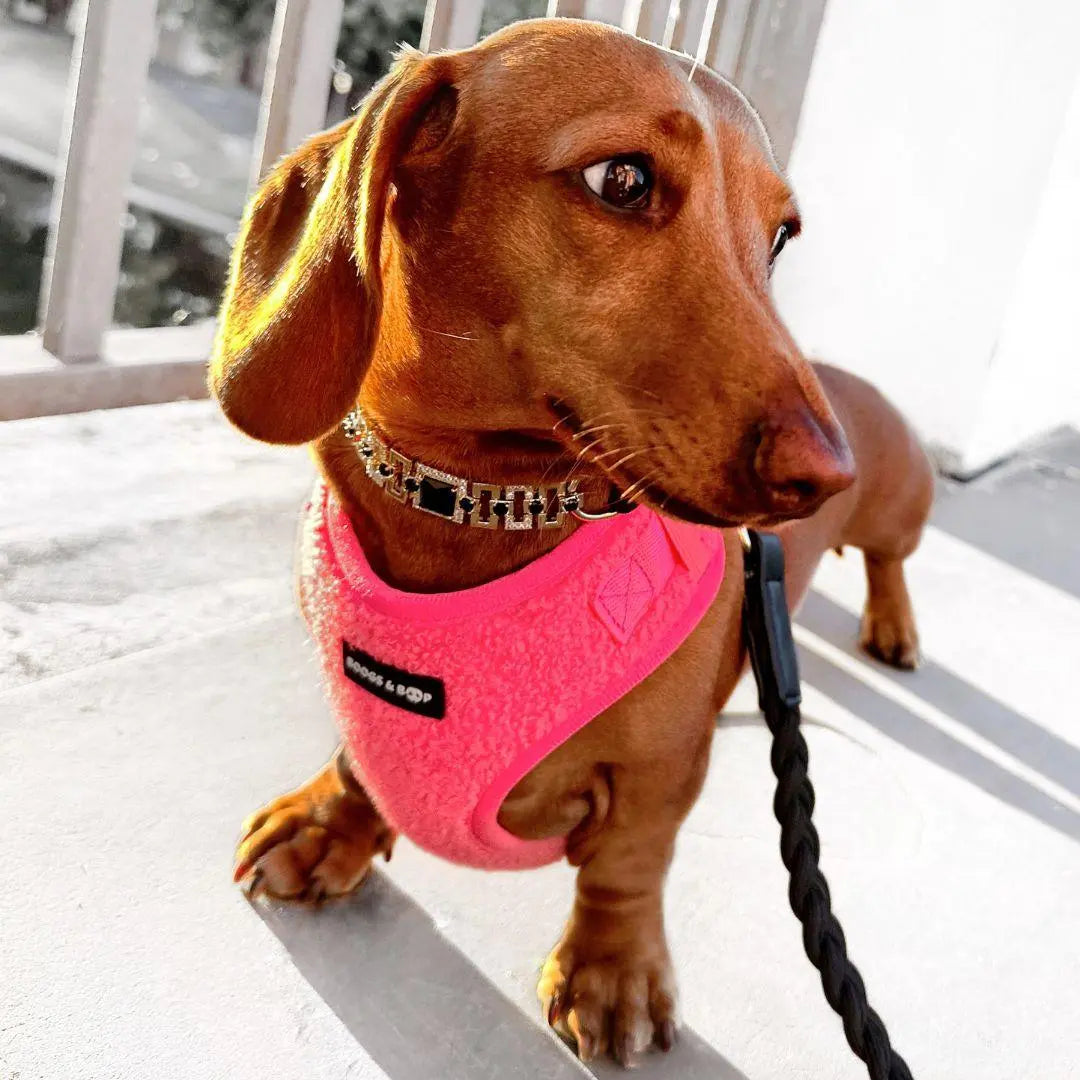 Fluorescent Pink Adjustable Teddy Fabric Dog Harness