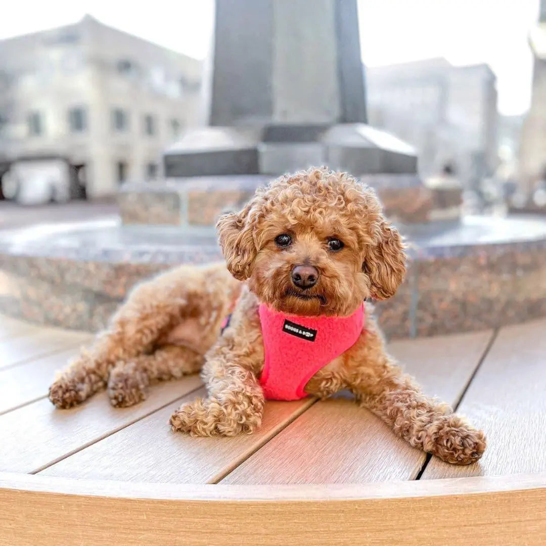 Fluorescent Pink Adjustable Teddy Fabric Dog Harness