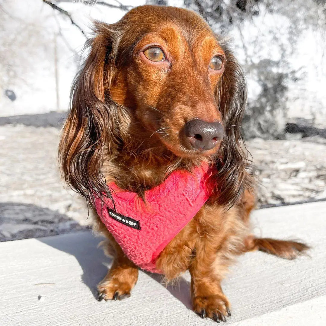 Fluorescent Pink Adjustable Teddy Fabric Dog Harness